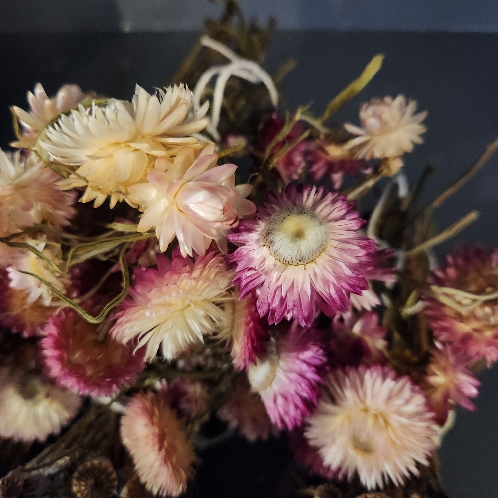 6 Little Real Dried Pod And Flower Bouquets. - Picture 2 of 9